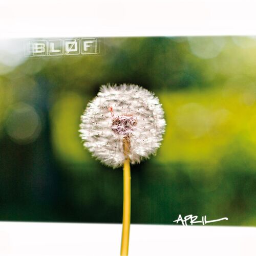 Bløf
